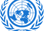Rekommendationer från FN:s barnrättskommitté